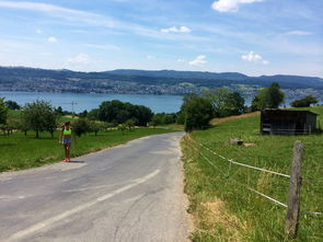 “缆绳滑水：东桃花岛赛场呈现全新水上运动魅力”