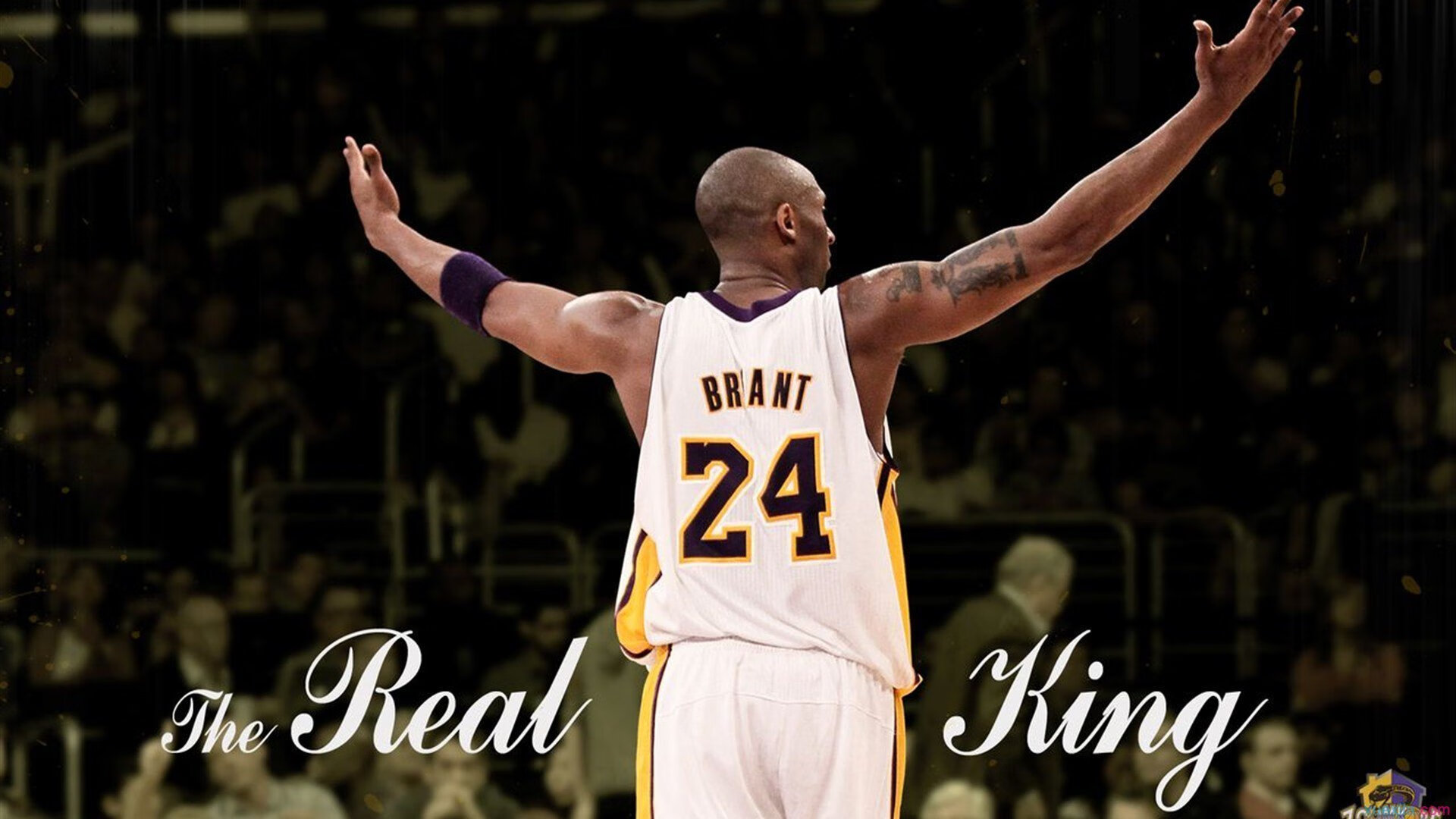 “美洲狮队的全能球员成就阿根廷橄榄球的腾飞”